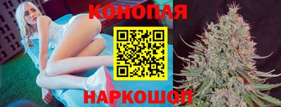 Альфа ПВП Уссурийск