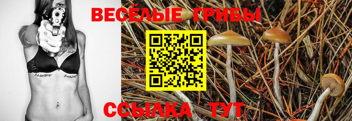 Псилоцибиновые грибы Psilocybine cubensis  Вход с VPN  Новодвинск 