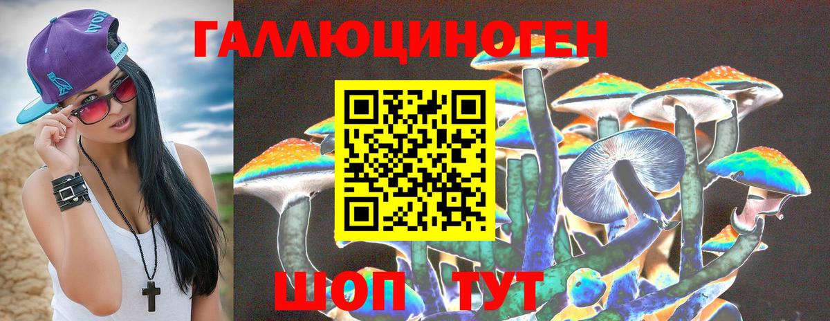 Псилоцибиновые грибы Magic Shrooms Новодвинск